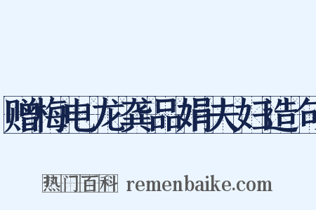 赠梅电龙龚品娟夫妇造句是什么意思的图片